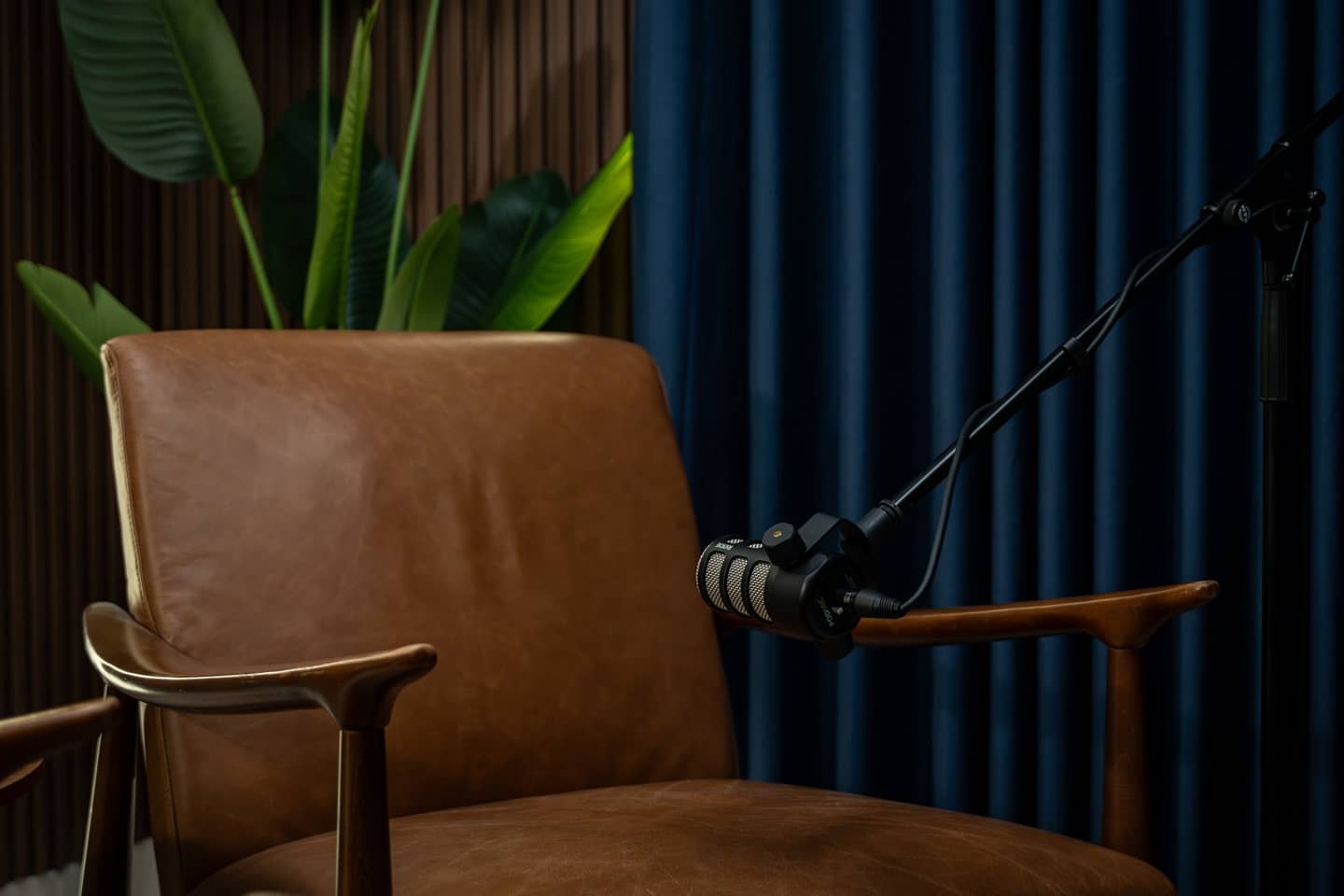 PERFECT FOR PODCASTERS